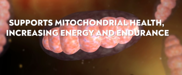 Screenshot 2025-10-07 191507.png