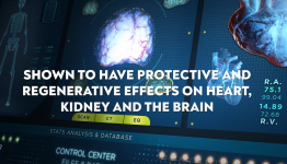 Screenshot 2025-10-07 191600.png